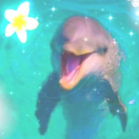 Meet your Posher, Colbie - Picture 1 of 1